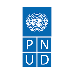 25. PNUD