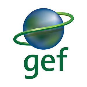 1. GEF